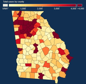 GEORGIA STATE GUIDELINES-4