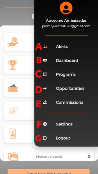 dashboard options